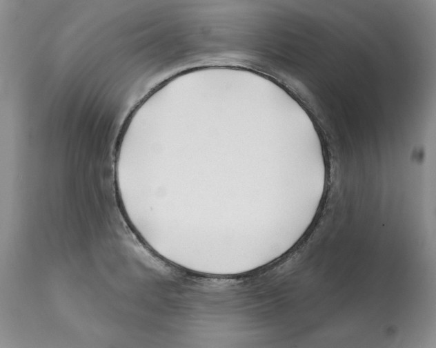 X0000112061184200909151019