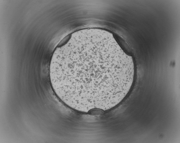 X0000112061185200909151019