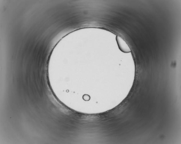 X0000112061187200909151019
