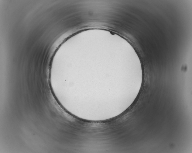 X0000112061188200909151019