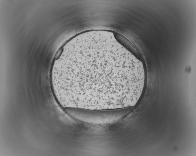 X0000112061189200909151019