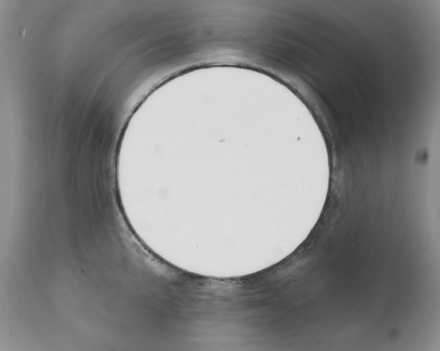 X0000112061191200909151019