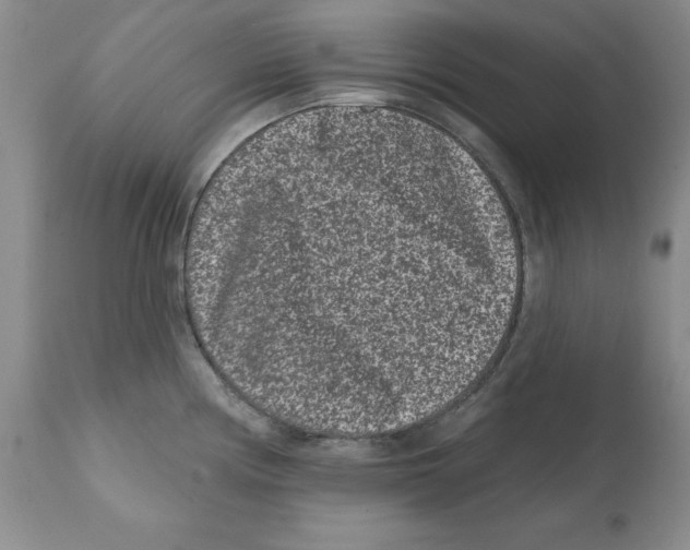 X0000112061194200909151019