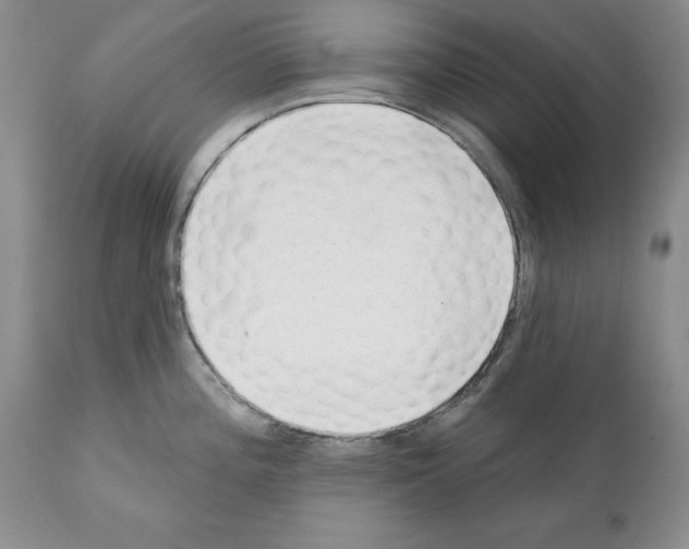 X0000112061196200909151019