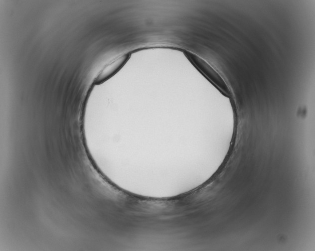 X0000112061197200909151018