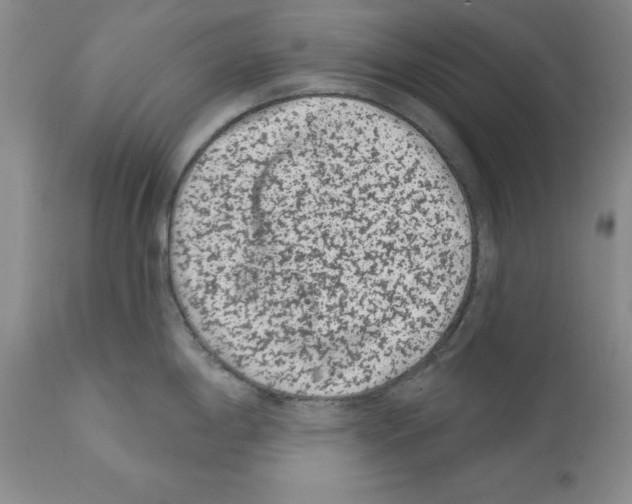 X0000112061198200909151018
