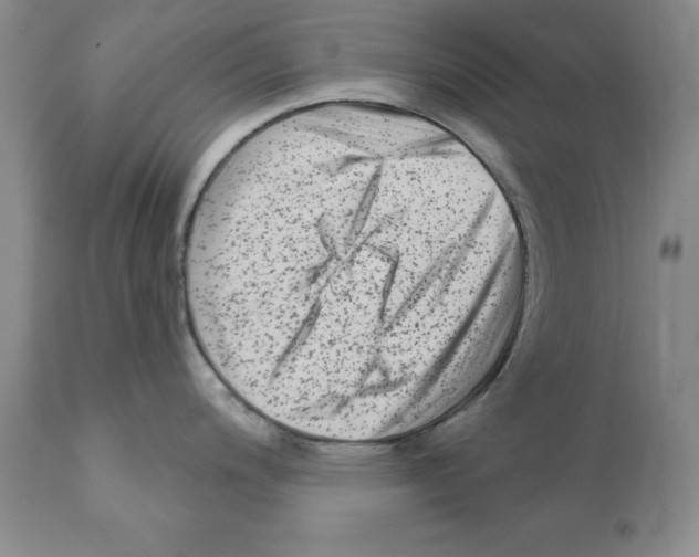 X0000112061200200909151018