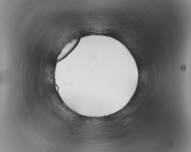 X0000112061202200909151018