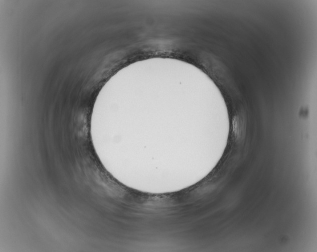 X0000112061203200909151018
