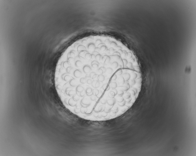 X0000112061205200909151018
