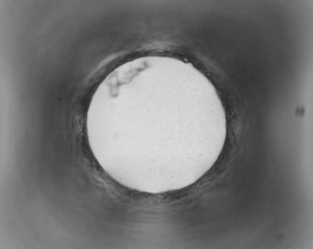 X0000112061206200909151018
