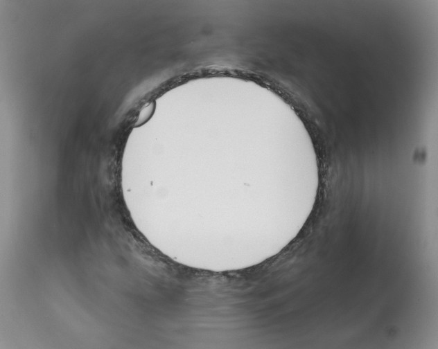 X0000112061207200909151018