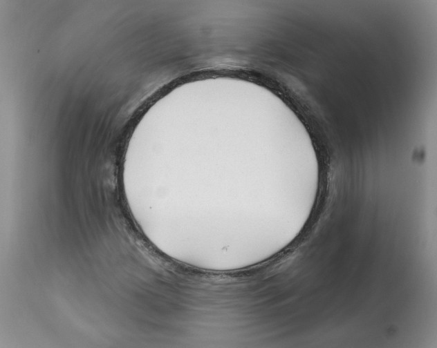 X0000112061209200909151018