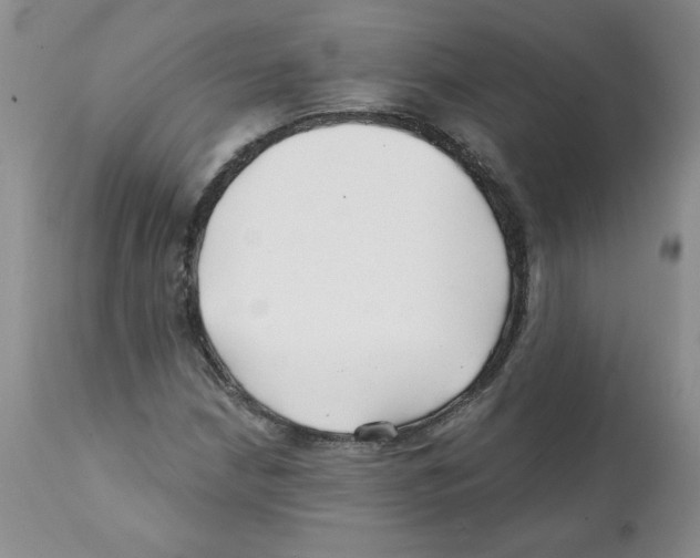 X0000112061210200909151018