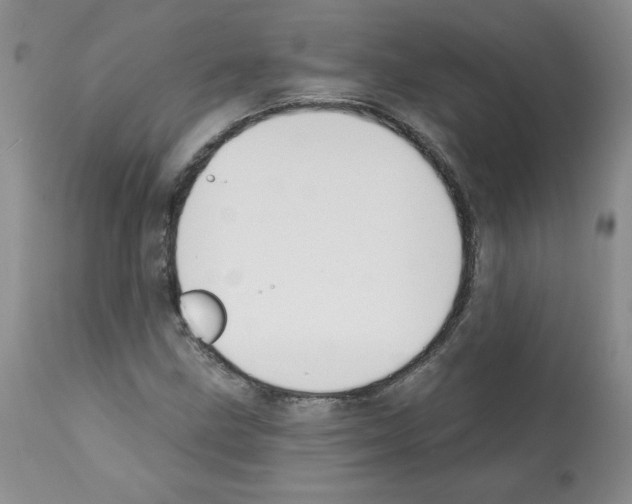 X0000112061211200909151018