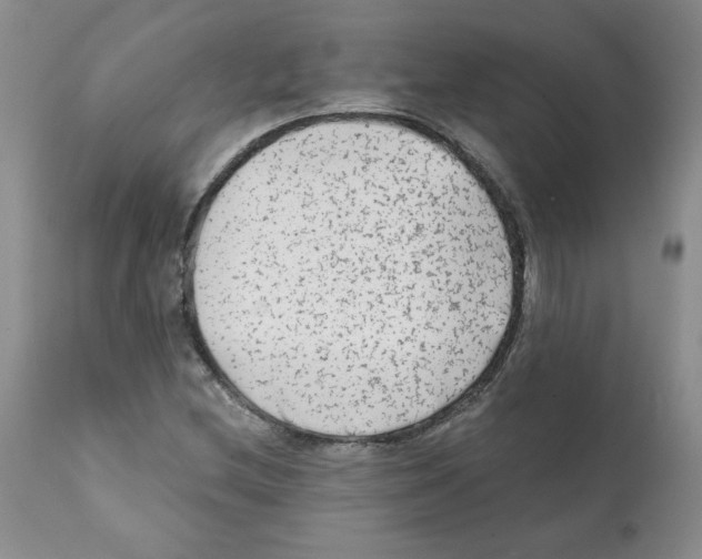 X0000112061212200909151018