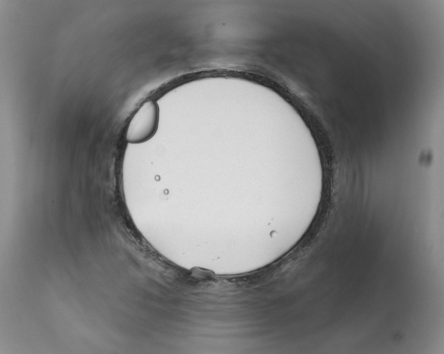 X0000112061214200909151018