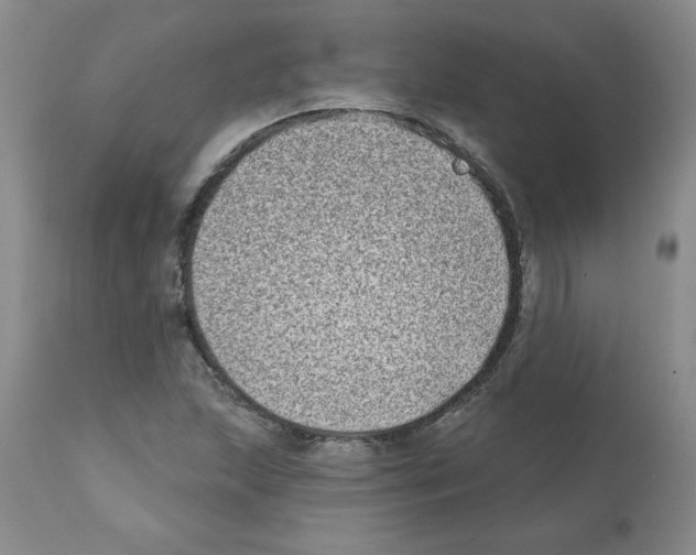 X0000112061215200909151018