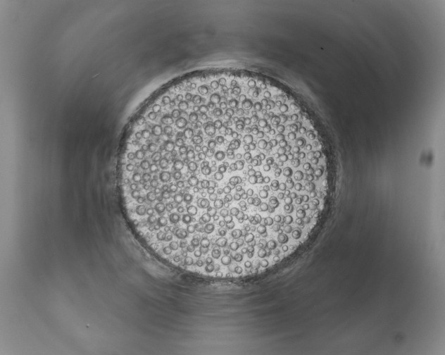 X0000112061216200909151018