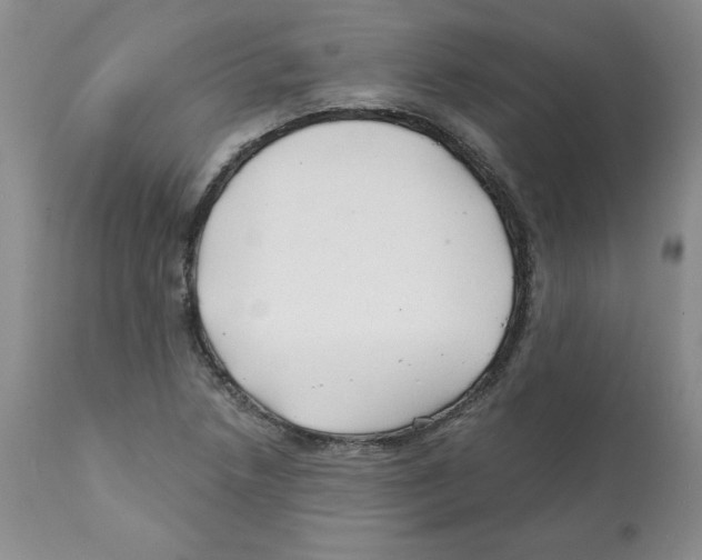 X0000112061218200909151018