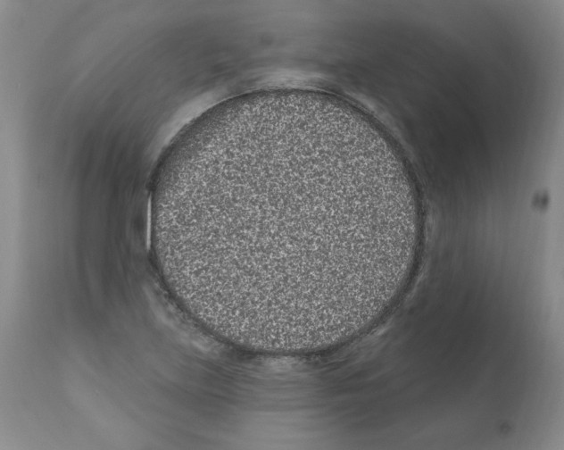 X0000112061219200909151018