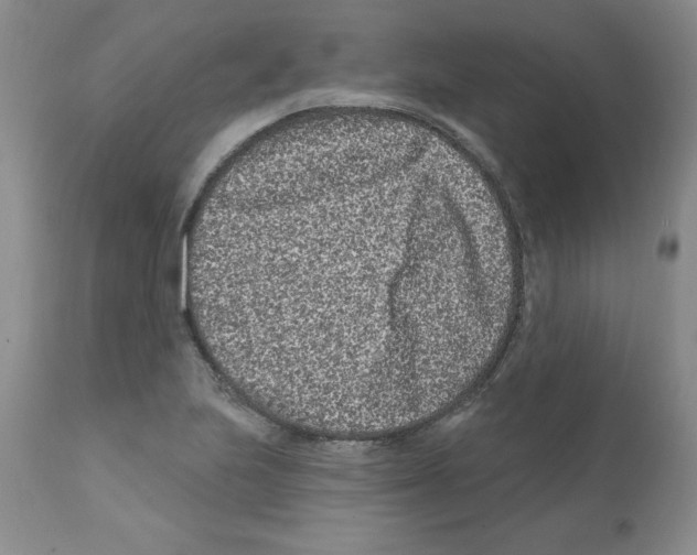X0000112061223200909151018