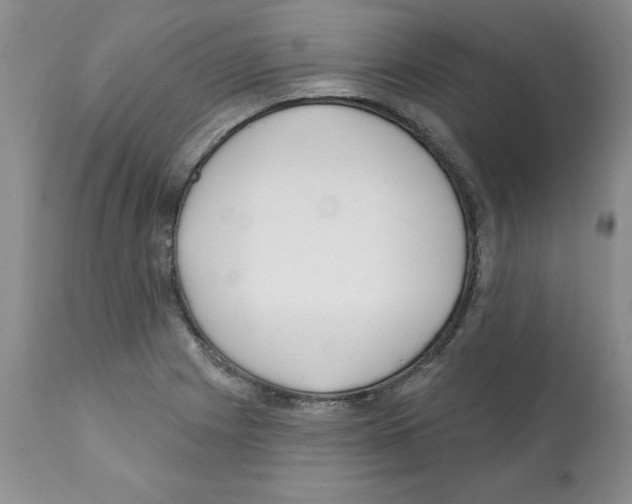 X0000112061225200909151018