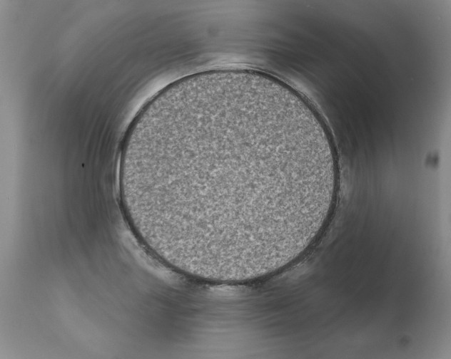 X0000112061227200909151018