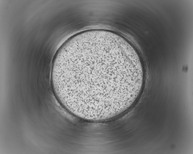 X0000112061228200909151018