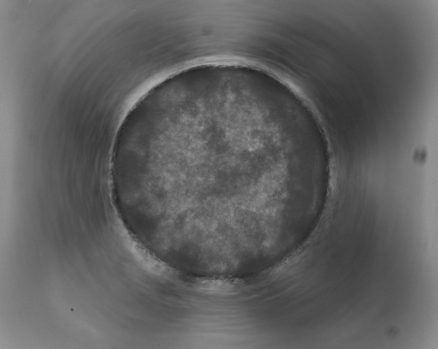 X0000112061229200909151018