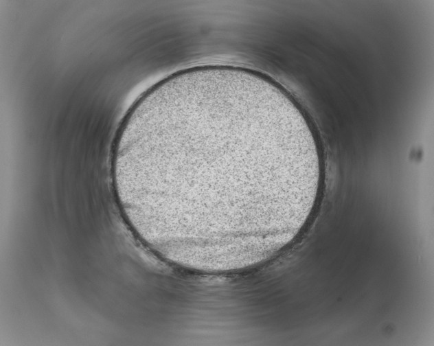 X0000112061230200909151018