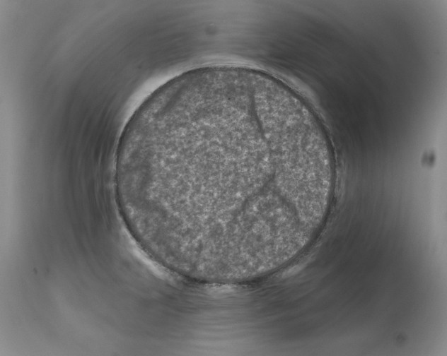 X0000112061231200909151018