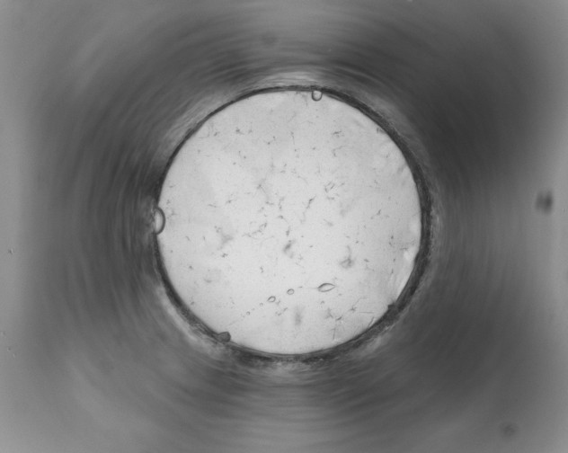 X0000112061233200909151018