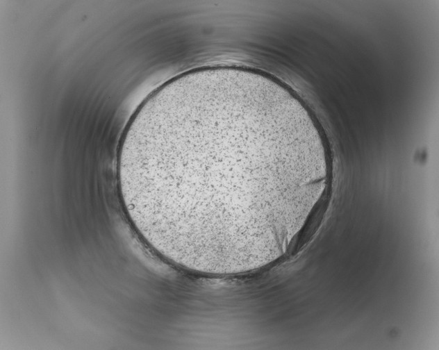X0000112061234200909151018