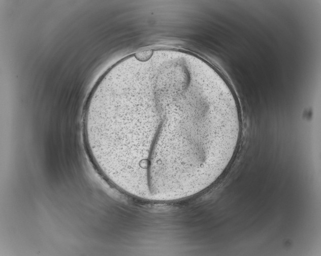 X0000112061235200909151018