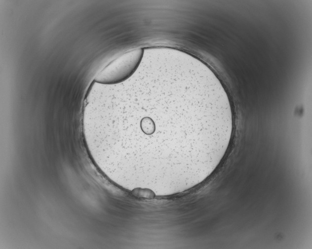 X0000112061236200909151018