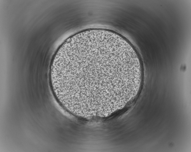 X0000112061237200909151018