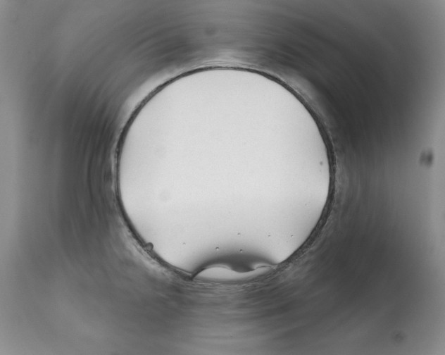 X0000112061238200909151018