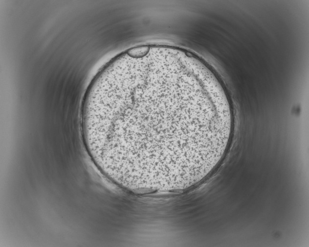 X0000112061240200909151018