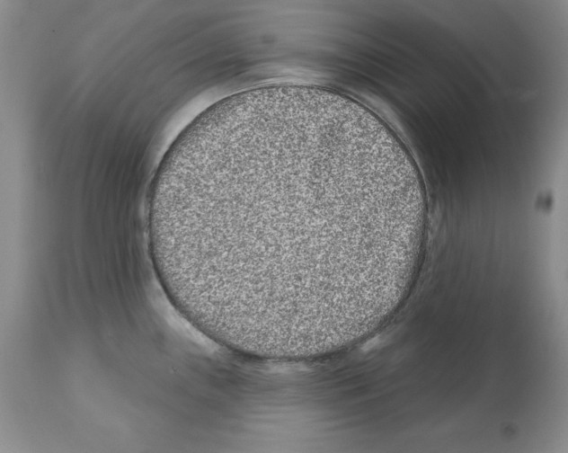 X0000112061243200909151018
