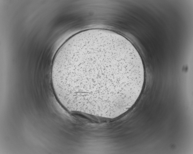 X0000112061244200909151018