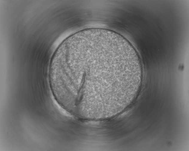 X0000112061245200909151018