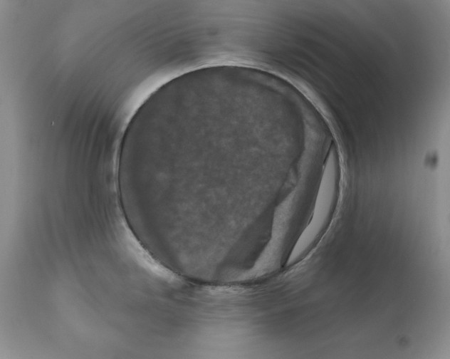 X0000112061246200909151018