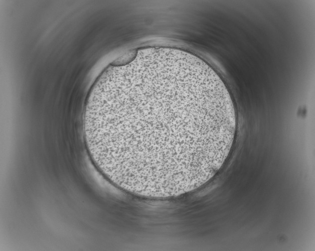 X0000112061247200909151018