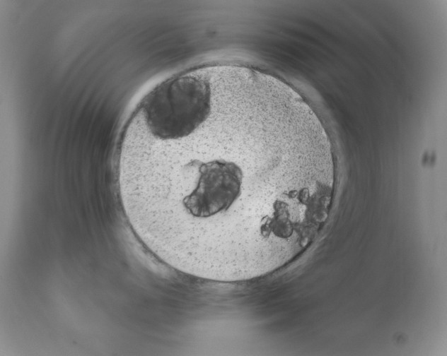 X0000112061248200909151018