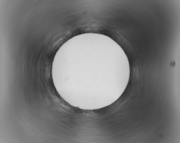 X0000112061250200909151018