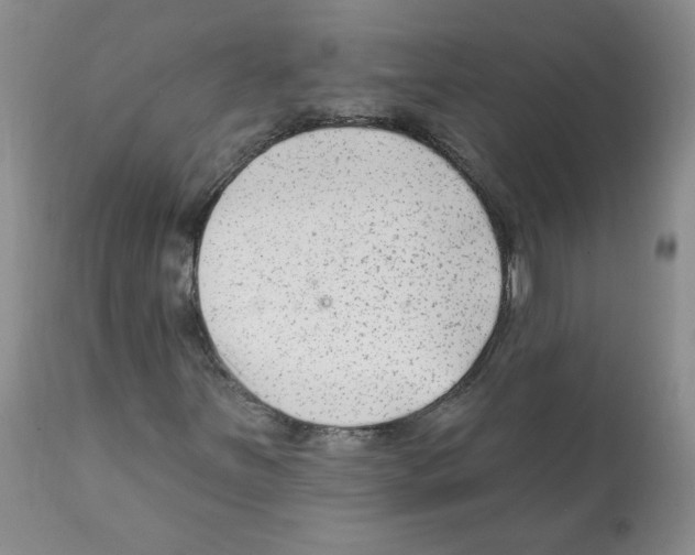 X0000112061251200909151018