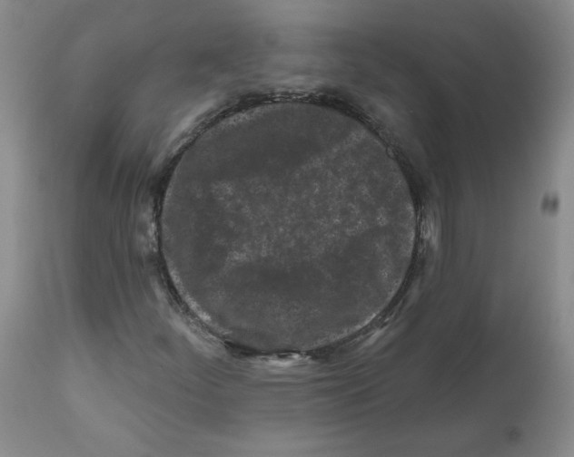 X0000112061252200909151018