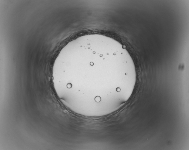 X0000112061253200909151018