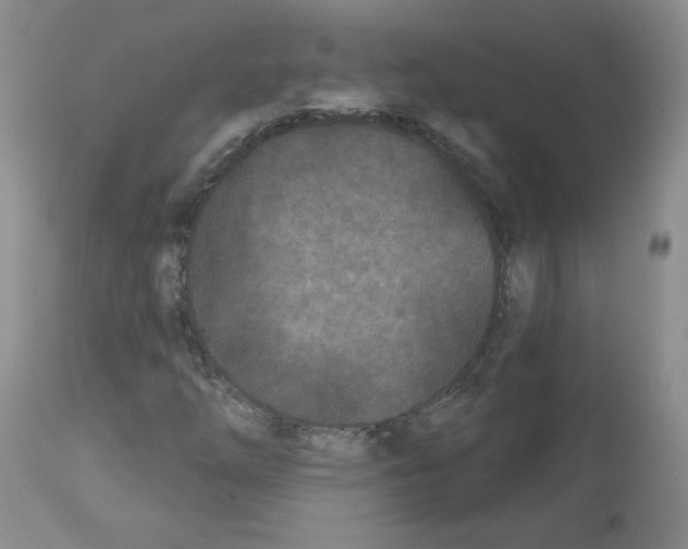 X0000112061254200909151018
